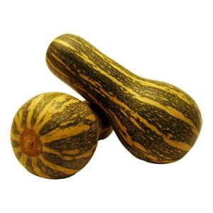 Abóbora de Pescoço