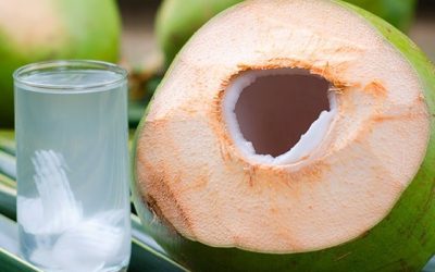 Garrafa Água de Coco - 500ml