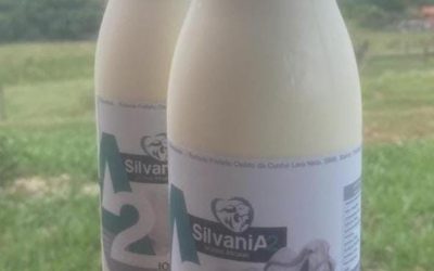 Iogurte A2 Natural sem açúcar - litro