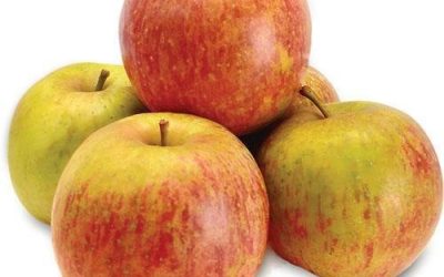 Maçã Crocante Schio - 40g