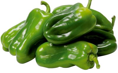 pimentao_verde